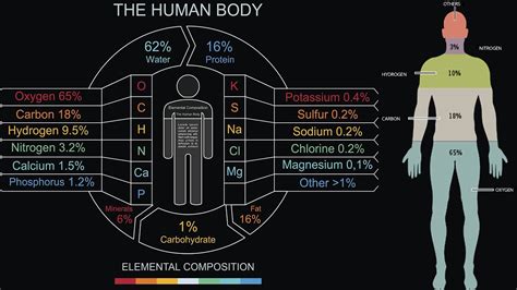 Zola Bantu Lecture Composition Of Man Youtube