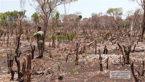 El Impacto De La Actividad Humana En Los Ecosistemas Ojal