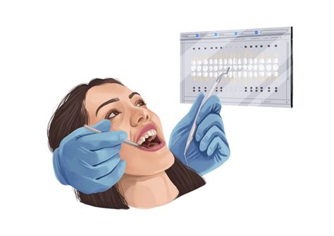 What Are Mamelons On Teeth Authority Dental