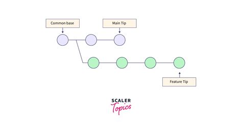 Git Merge Scaler Topics