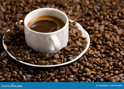 Tasty Coffee Stock Image Image Of Bean Addiction Fresh 10163365