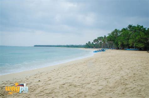 TRAVEL GUIDE: Saud Beach Resort in Pagudpud, Ilocos Norte | WayPH.com