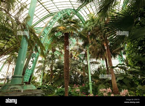 Belgium Brussels Laeken The Royal Castle Domain The Greenhouses Of