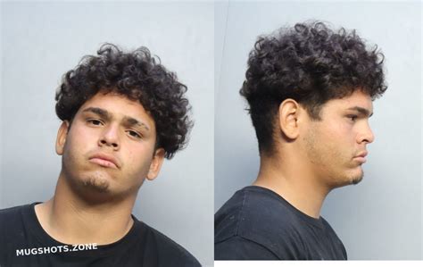 Romero Junior Miami Dade County Mugshots Zone