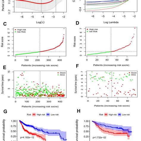 Construction Of An Immune Related Prognostic Signature For Hnscc A