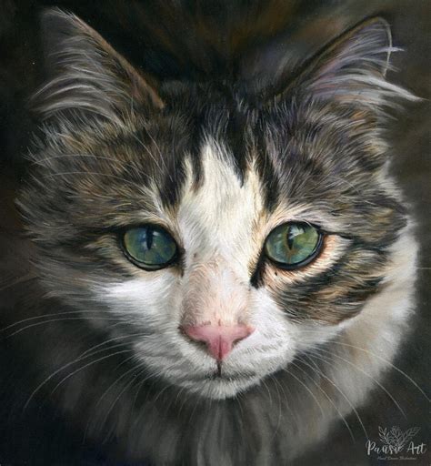 I drew this lovely cat with soft pastel pencils. My favorite one so far ...