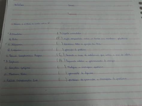 1 relacione a 1coluna de acordo a 2 coluna a mitocôndria b