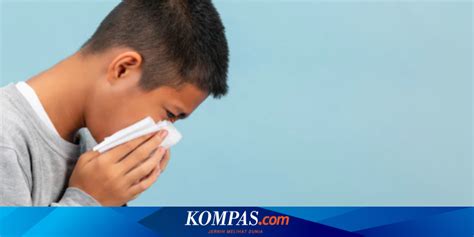 Penyakit Infeksi Saluran Pernapasan Akut Ispa Gejala Penyebab