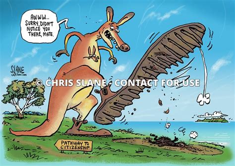 Chris Slane Cartoons Kangaroo Kiwi