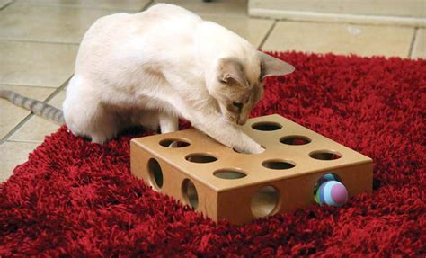 Cat Toys Australia Smartcat Peek And Play Cat Toy Box