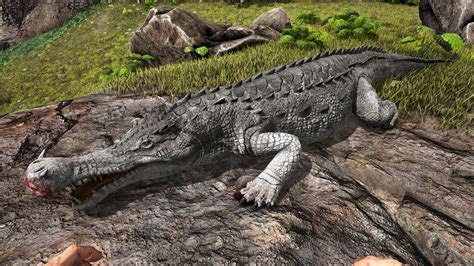 Sarcosuchus Wiki Oficial De Ark Survival Evolved