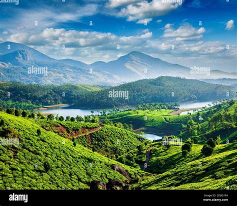 kerala india munnar river  res stock photography  images alamy