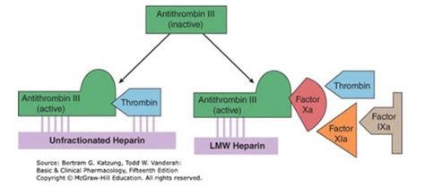 Pharmacology Anticoagulants Lipid Lowering Flashcards Quizlet