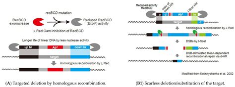 Microorganisms Free Full Text Past Present And Future Of Genome