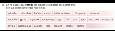 En Mi Cuaderno Organizo Las Siguientes Palabras En Hiper Nimos Y En