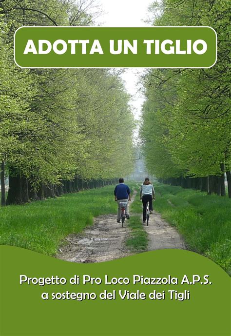 Il Viale Dei Tigli Pro Loco Piazzola A P S