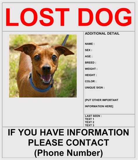 Lost Dog Flyer Template Word