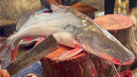 Rare Giant Ayer Fish Cutting In Bangladeshi Fish Market Amazing Fish