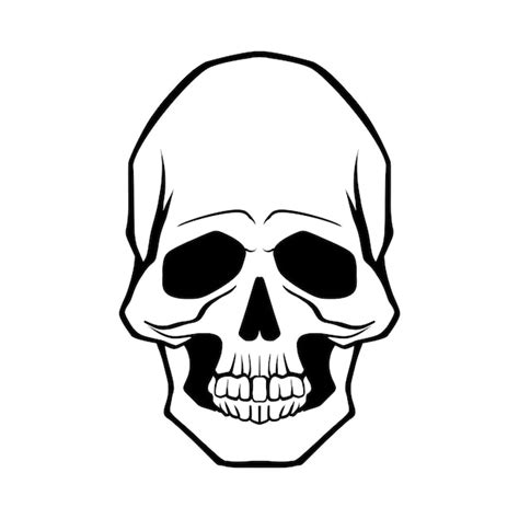 Premium Vector Skull Head Hand Drawn Line Drawing