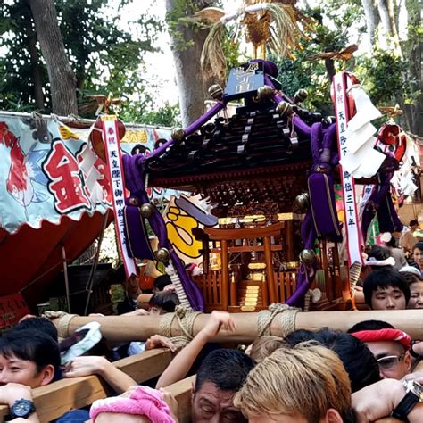 代々木八幡宮の例大祭は見どころがたくさん！魅力をたっぷりご紹介します