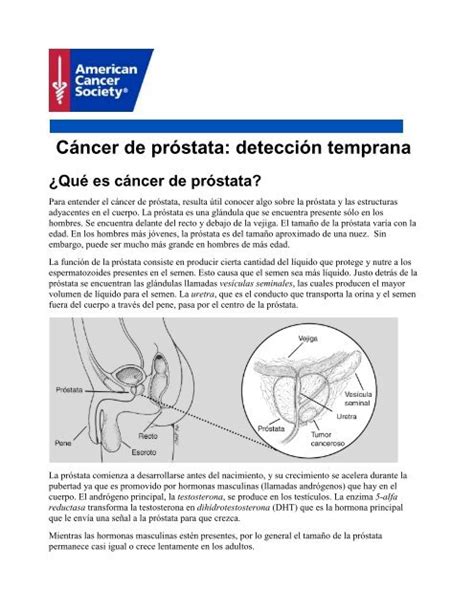 C Ncer De Pr Stata Detecci N Temprana American Cancer Society