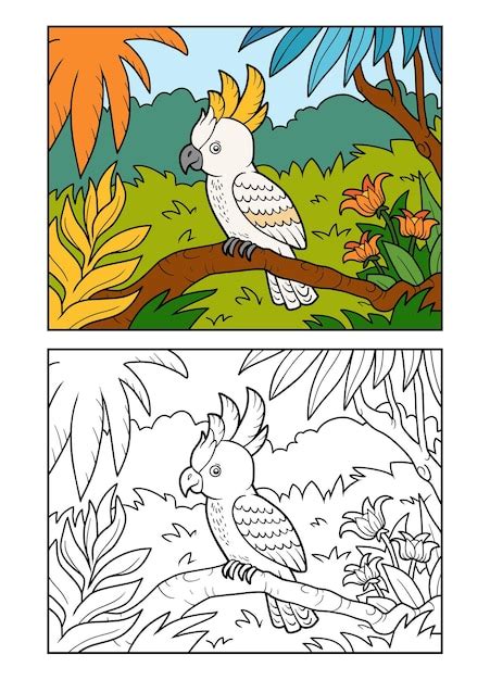 Libro Da Colorare Cacatua Pappagallo Nella Foresta Pluviale Vettore