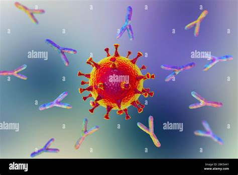 Sars Cov Nukleokapsid Protein Antigen Fotos Und Bildmaterial In