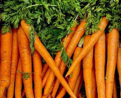 Growing Carrots Guide To Planting Harvesting Nutrition Uk The