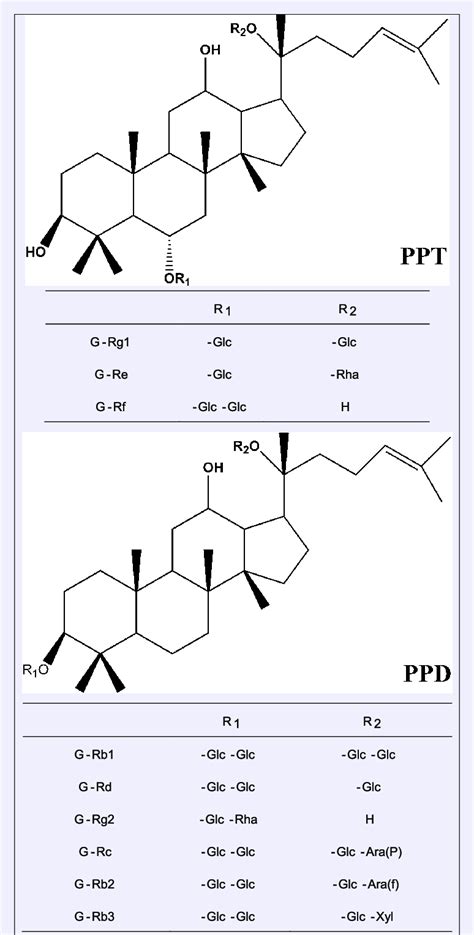 Chemical Structures Of Ginsenoside Rg1 Re Rf Rg2 Rb1 Rc Rb2 Rb3