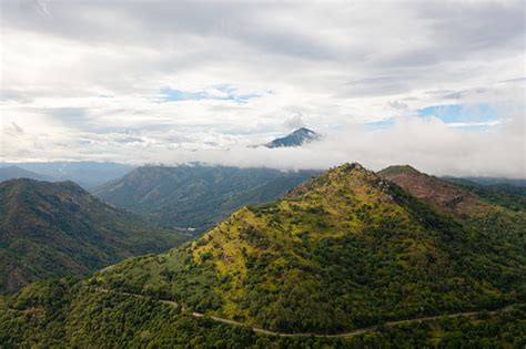 lereng gunung  vegetasi   hijau foto stok