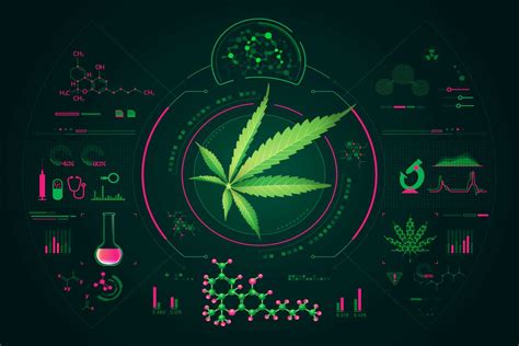 Cbd Et Interactions M Dicamenteuses Notre Guide