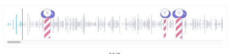 Waveform Looks Different In Chrome And Safari And Timestamp Does Not