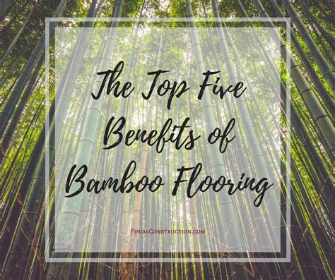 Bamboo Flooring Environmental Benefits Clsa Flooring Guide