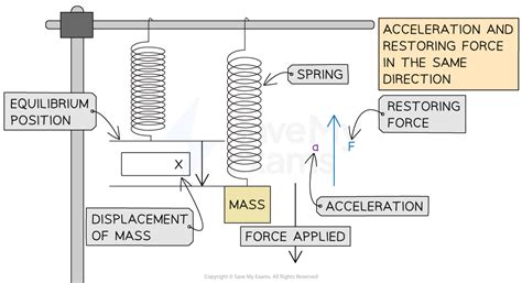 Simple Harmonic Motion Shm Sl Ib Physics Revision Notes