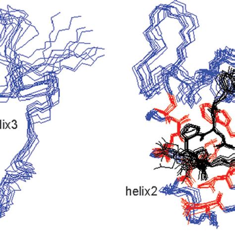 Stereoview Of The Lowest Energy Structures Of The Ehd Eh Domain In