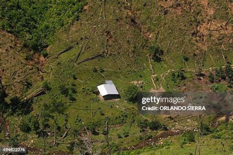 rio platano biosphere reserve stock  high res pictures