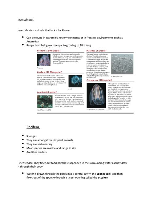 Biodigest 8 Invertebrates Crosswords Answers 10