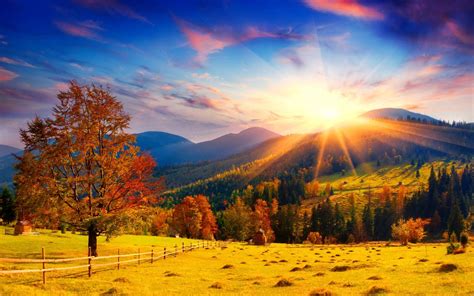 Autumn Sun Rays Wallpapers - Wallpaper Cave