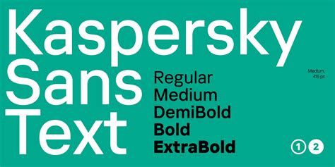 Kaspersky Sans Text Extra Bold Font XFonts Pro