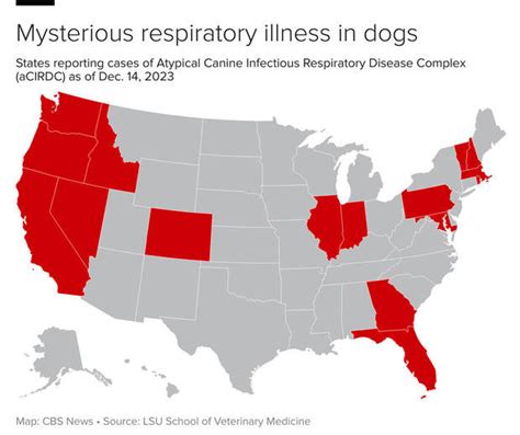 These 16 Us States Are Most Affected By Mystery Dog Respiratory Disease