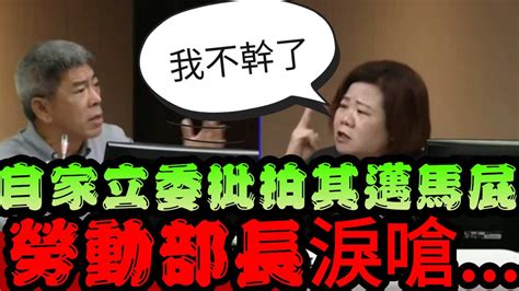 拍陳其邁馬屁？勞動部長淚嗆綠委「我不幹了可以吧」 楊曜社會福利及衛生環境委員會許銘春 Youtube