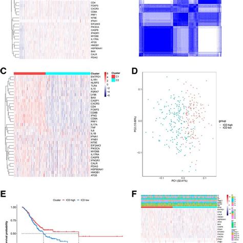 Identification Of Icd Related Subtypes By Consensus Clustering Based On