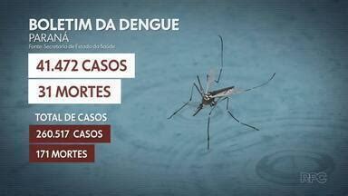 Boa Noite Paran Mais Mortes Por Dengue S O Registradas No Paran