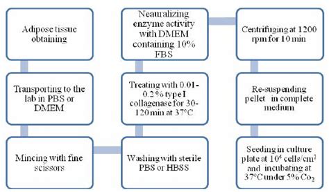 SciELO Brasil Isolation Culturing Characterization And Aging Of