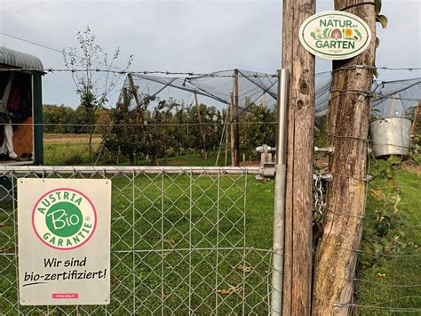 Ogv Obst Und Gartenkultur Vorarlberg Dorabirar Pflma Prutsch Manfred