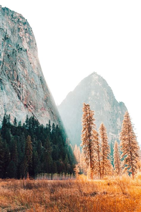 Ponderation Yosemite Sunlight By HaydenScott Landscape Photography