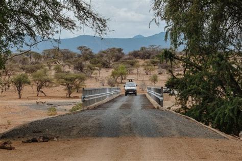 Samburu National Reserve Safari Guide