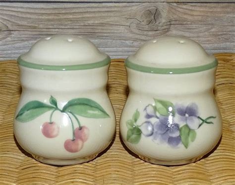 Pfaltzgraff Garden Party Impressions Dinnerware Salt And Pepper Set