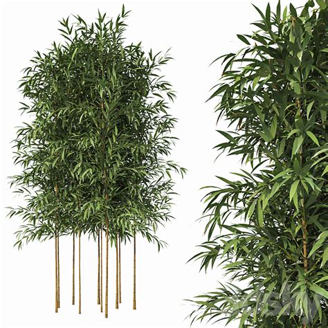 [3dsky] Bamboo 10 Models 3d Model New Update 2024