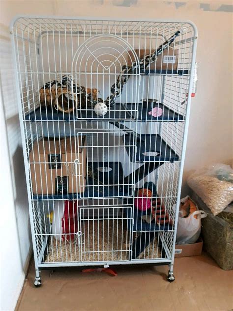 large pet rat cages  sale  john tabarez blog